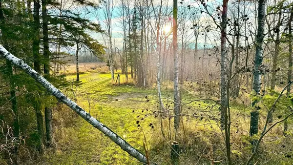 16794 Driftwood Street, Mcgregor, MN 55760