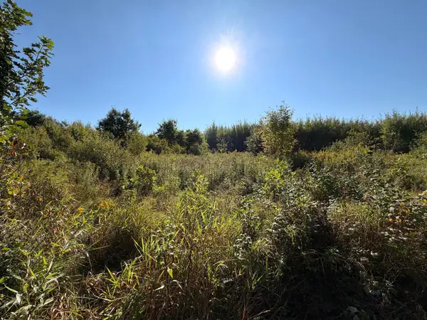 TBD 290th Street, Onamia, MN 56359