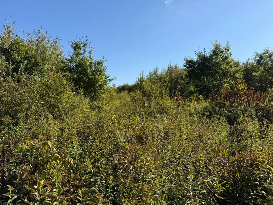 TBD 290th Street, Onamia, MN 56359 - #3