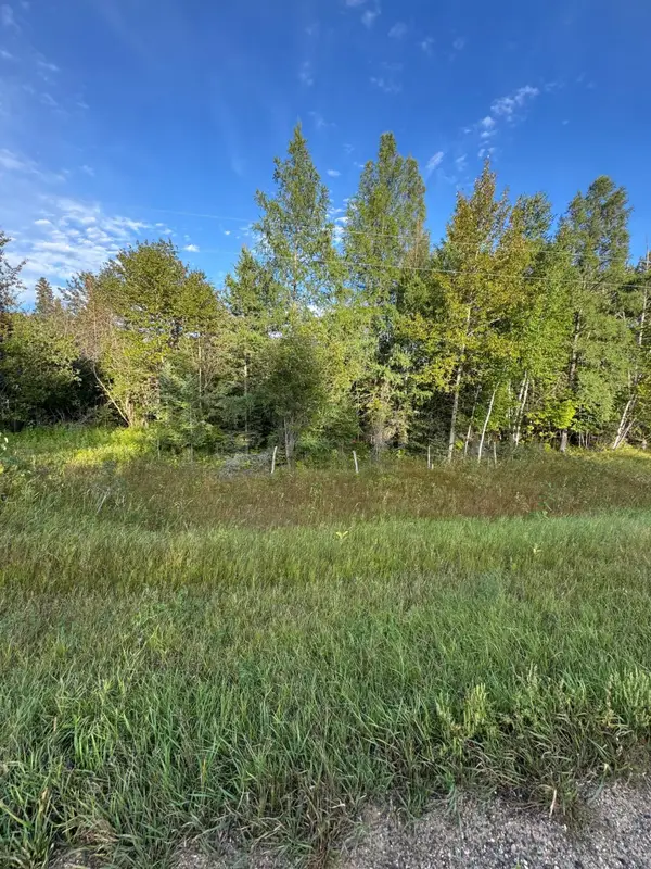 TBD Gull Lake Loop Road, Hines, MN 56647
