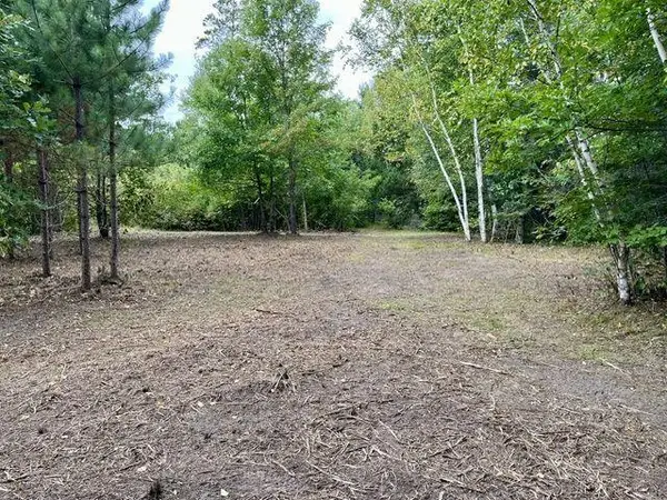 Lot 14 New Melahn Dr (lot14), Lake George, MN 56458