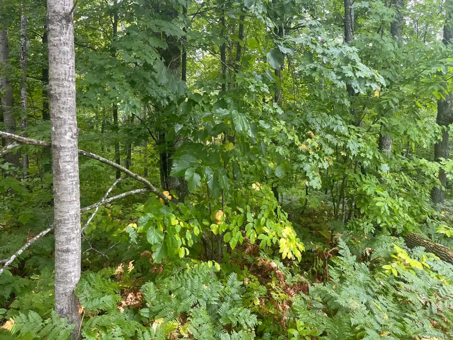 TBD 10th Street, Cumberland, WI 54829 - #2