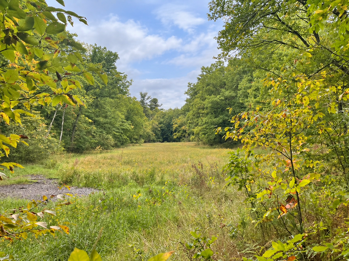 TBD xx 10th Street, Cumberland, WI 54829 - #1