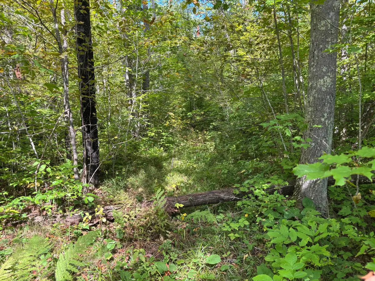 TBD 235th Place, McGregor, MN 55760 - #1