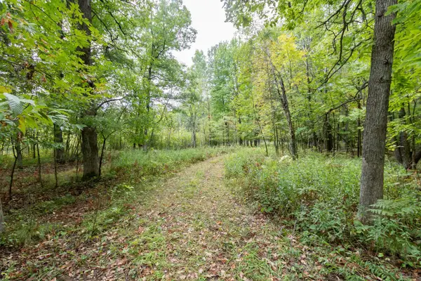 20 Acres 153rd Avenue, Balsam Lake, WI 54810