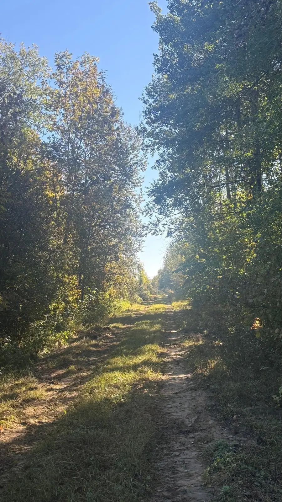 Parcel B Sunflower Road, Kelliher, MN 56650 - #3