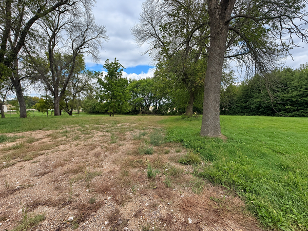 103 5th Street Ne, Geneva, MN 56035