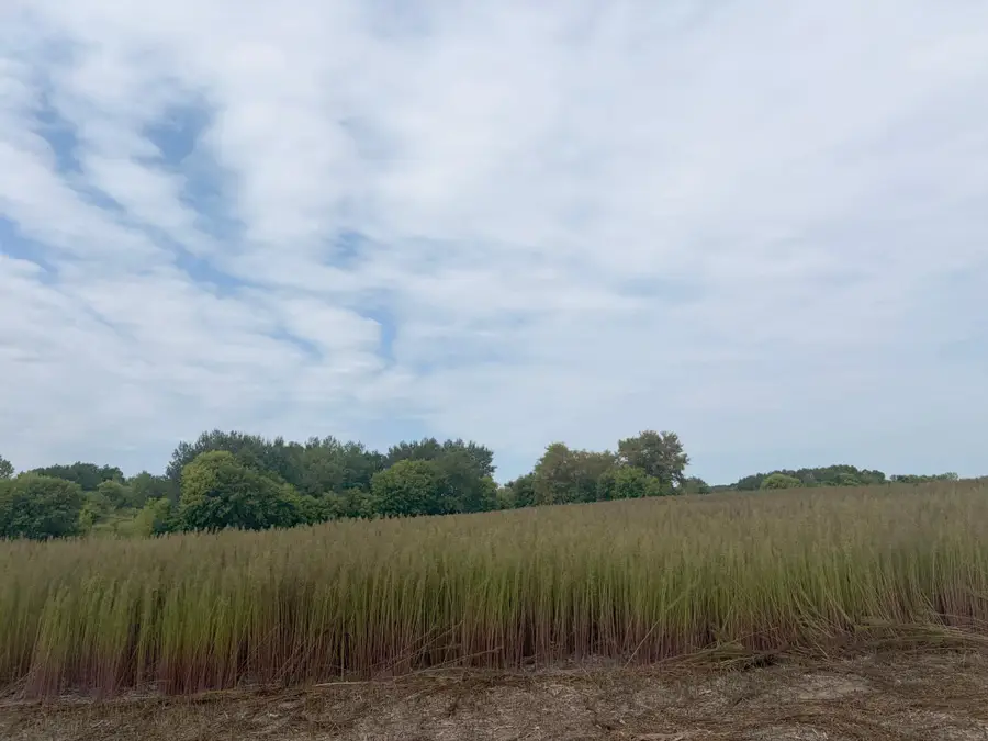 TBD (L1-SM East) 269th Avenue Nw, Isanti, MN 55040 - #2