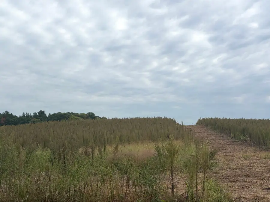 TBD (L9-SM East) Flamingo Street Nw, Isanti, MN 55040 - #3