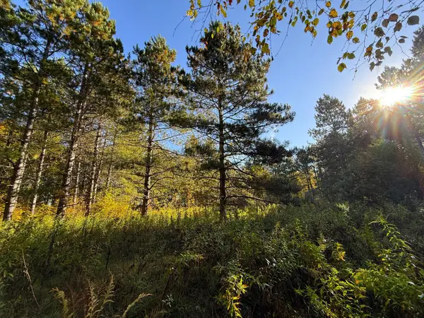 XXX 540th Lane, Palisade, MN 56469