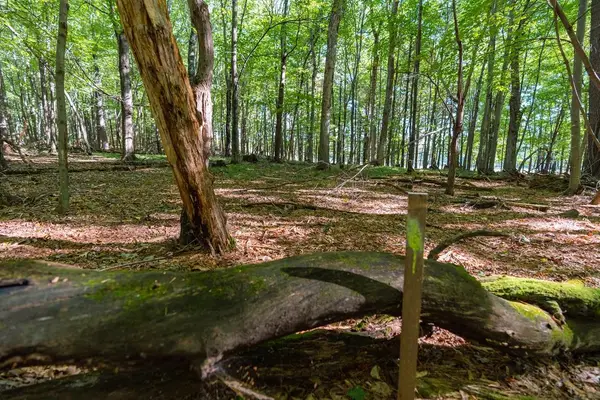 Lot7 815th Avenue, Menomonie, WI 54751