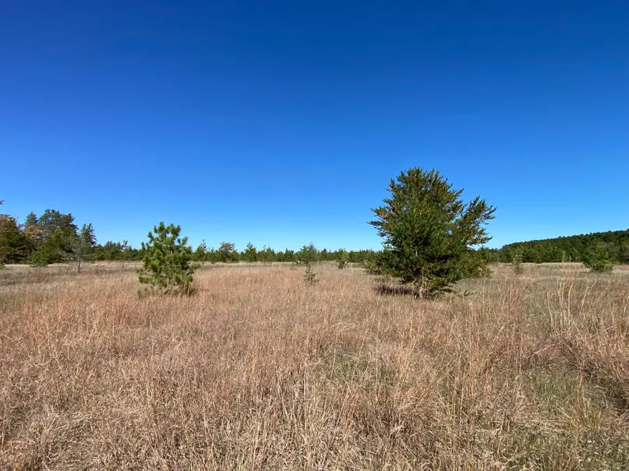 TBD State Hwy 87 - Lot 1, Park Rapids, MN 56470 - #3