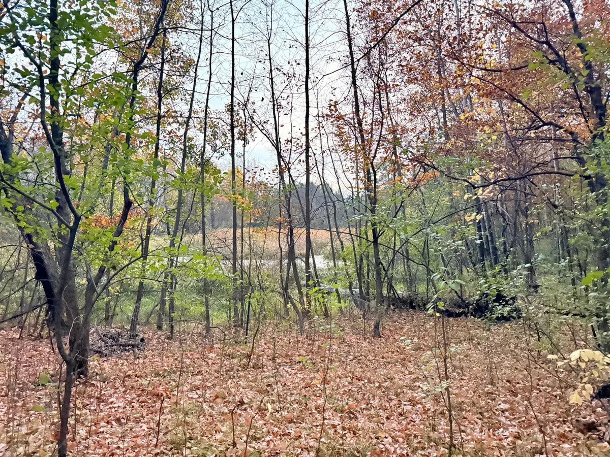 11832 County Road 51, Saint Joseph, MN 56374 - #1