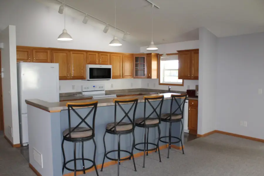 667 Marsh Drive, Delano, MN 55328 - #2