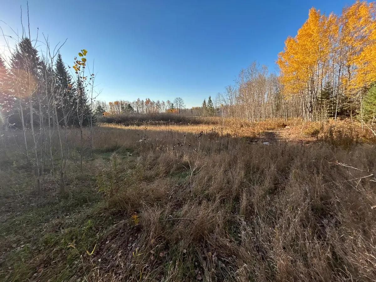10629 Town Rd 34, Mizpah, MN 56660 - #1