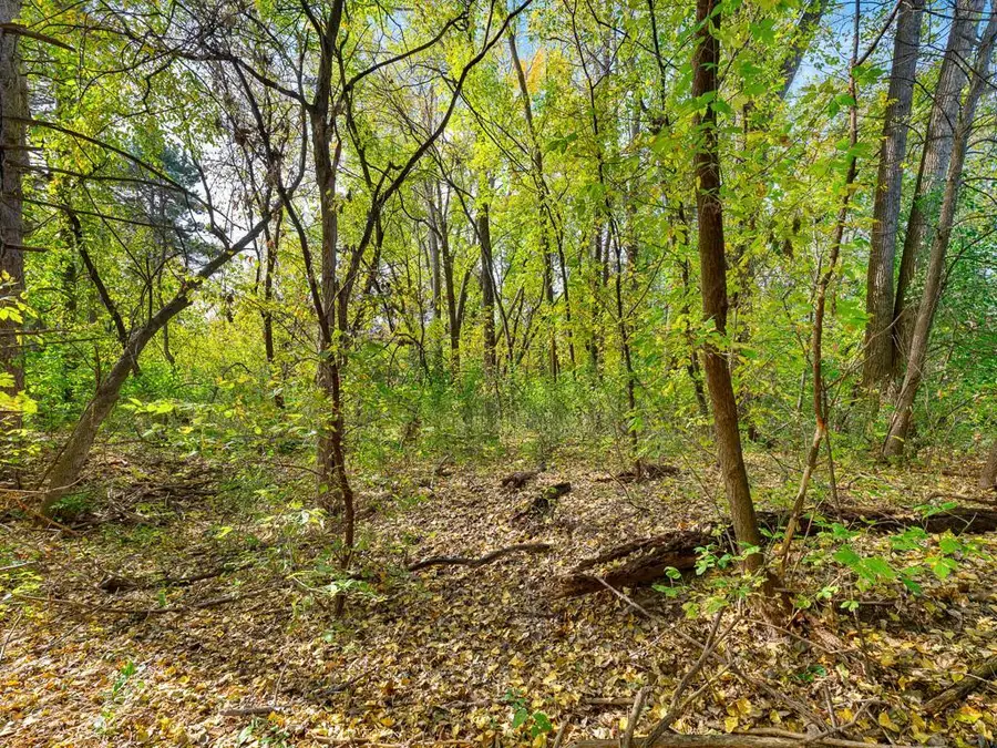 xxxx Reidmond Avenue, Little Canada, MN 55117 - #2