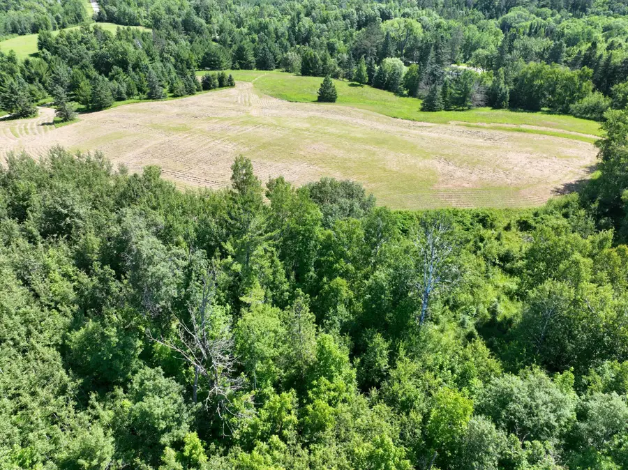 TBD Hidden Road, Akeley, MN 56433 - #3