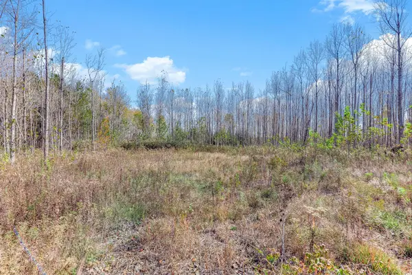 3041 320th Avenue, Brook Park, MN 55007