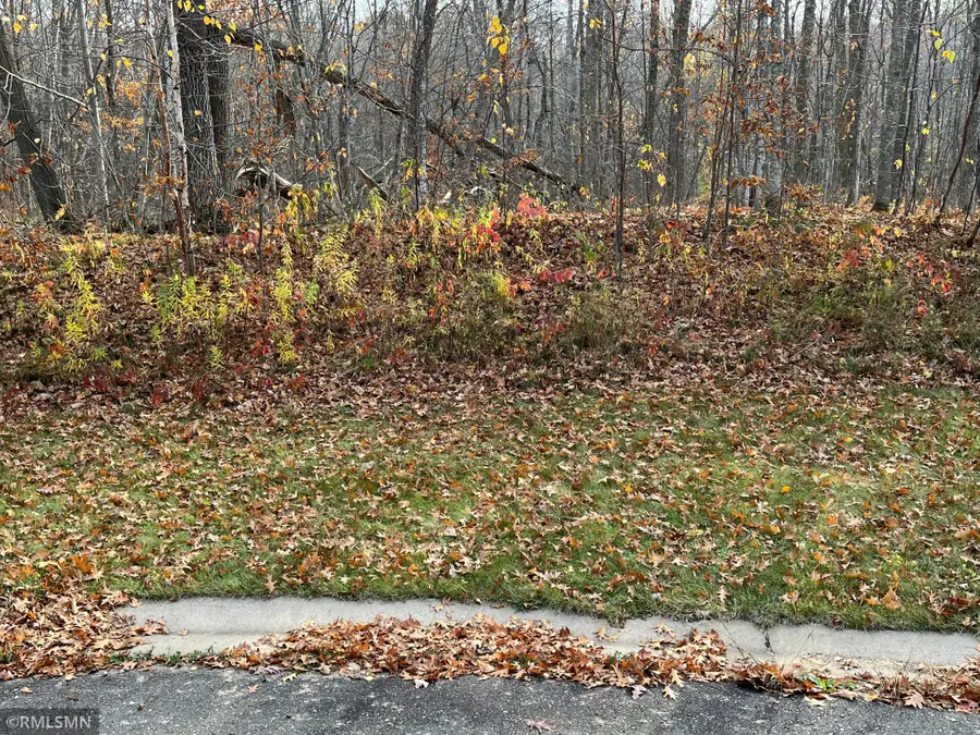 LOT 17 Wilderness Hills, Luck, WI 54853 - #2