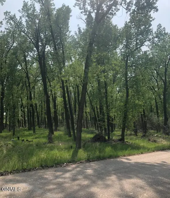 2445 Larson Road, Bismarck, ND 58504 - #2