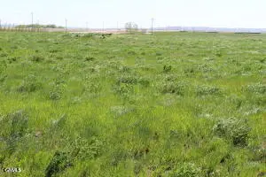 Tbd L2 B1 Key's Cove Loop, Ray, ND 58849 - #1