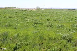 Tbd L1,2b3 Key's Cove Loop, Ray, ND 58849