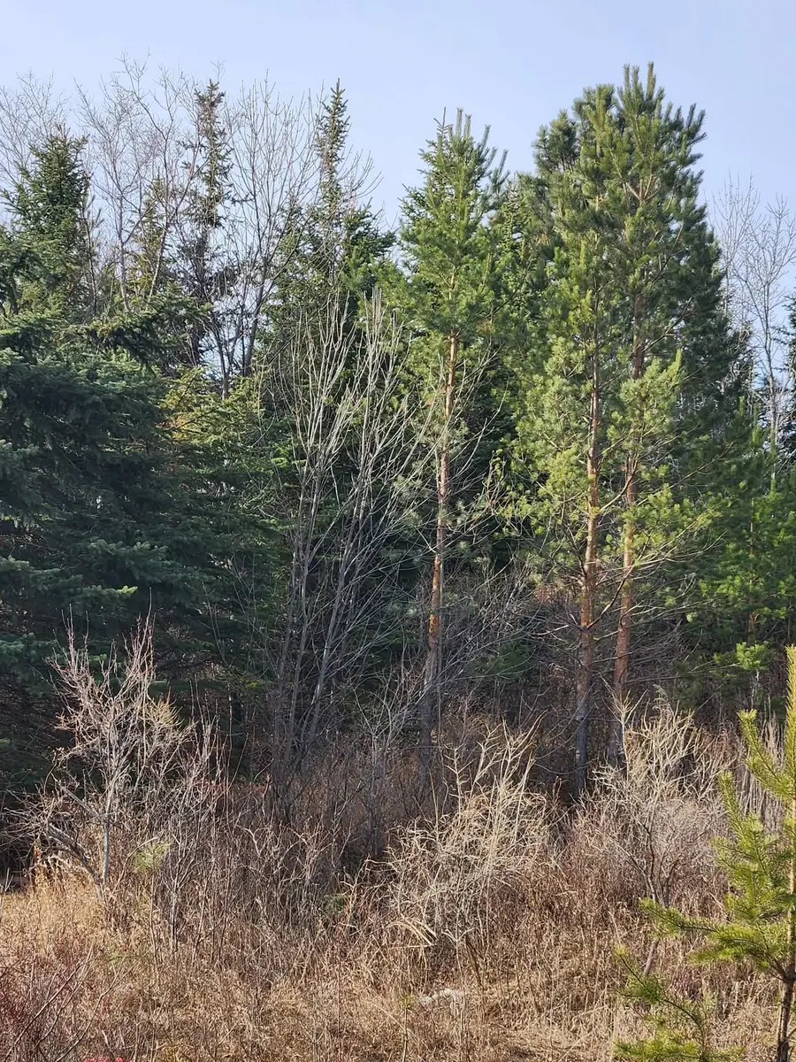 00 County Road 19 SE, Minot, ND 58701 - #2