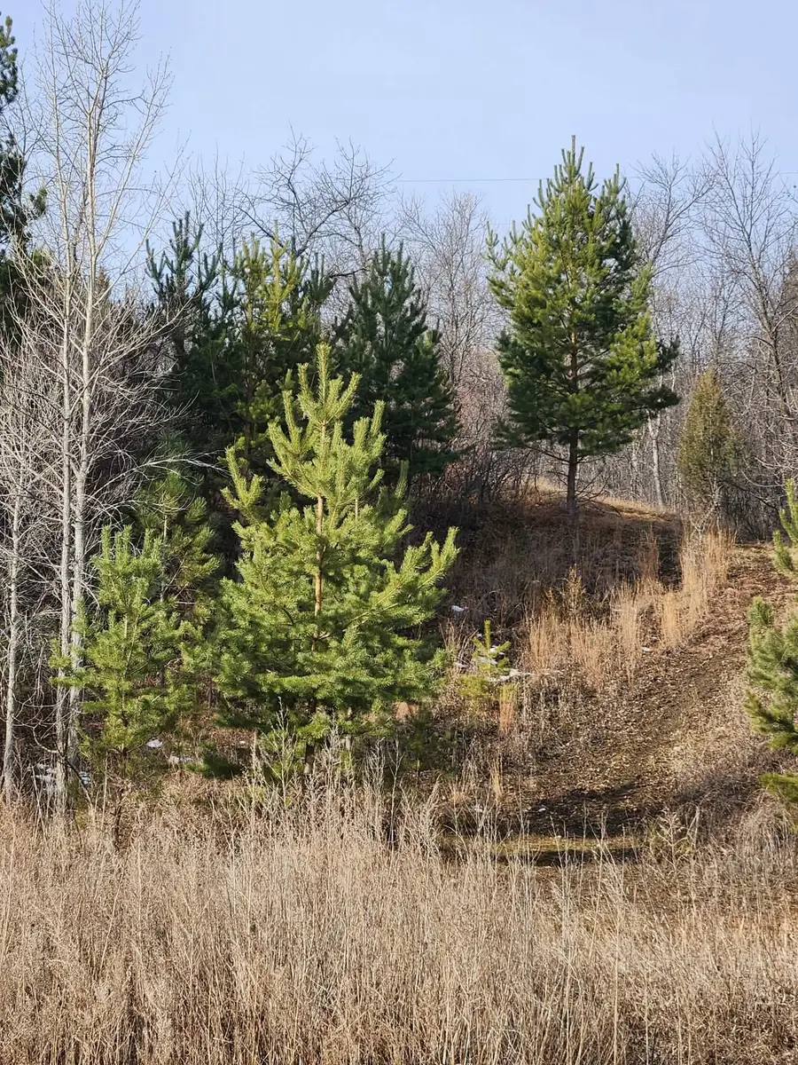 00 County Road 19 SE, Minot, ND 58701 - #3