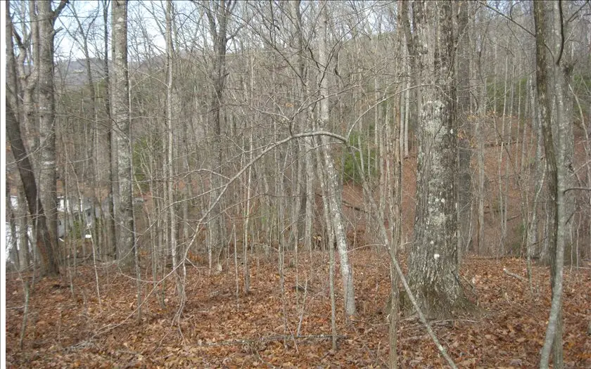 LOT25 Scarletts Way, Young Harris, GA 30582 - Image #2