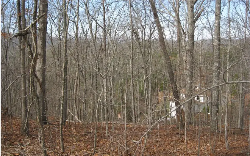 LOT25 Scarletts Way, Young Harris, GA 30582 - Image #3