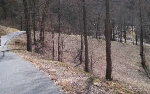 37 High Meadows, Hayesville, NC 28904 - Image #3