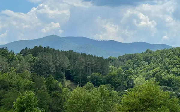 Lot 14B Saddle Ridge Farms, Warne, NC 28909