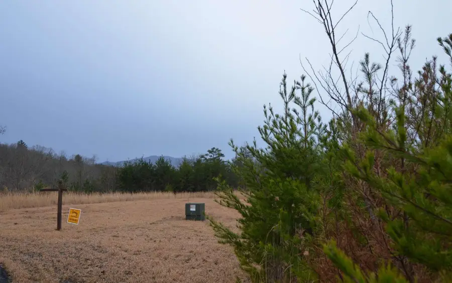 LOT 2 The Preserve At Beach Mountain, Brasstown, NC 28904 - Image #2