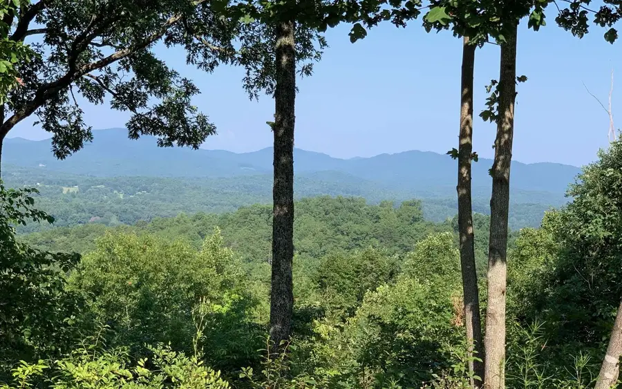 LOT 7 Golden Oaks, Warne, NC 28909 - Image #2