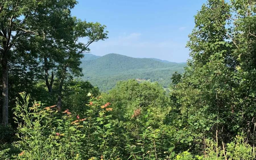 LOT 7 Golden Oaks, Warne, NC 28909 - Image #3