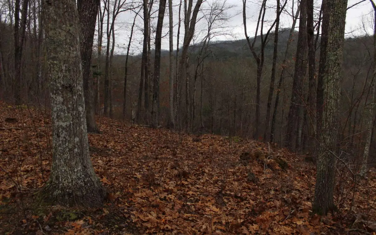 22 Thunder Road, Hayesville, NC 28904 - Image #1