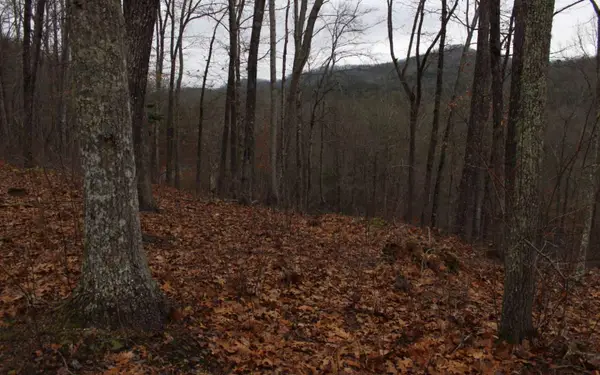 22 Thunder Road, Hayesville, NC 28904