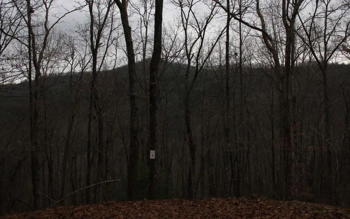 6 Thunder Road, Hayesville, NC 28904 - Image #1