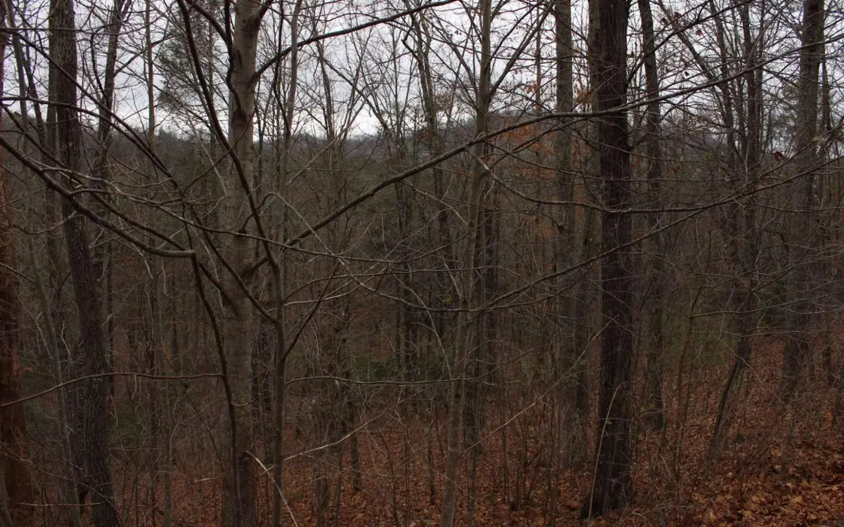 20 Thunder Road, Hayesville, NC 28904 - Image #1