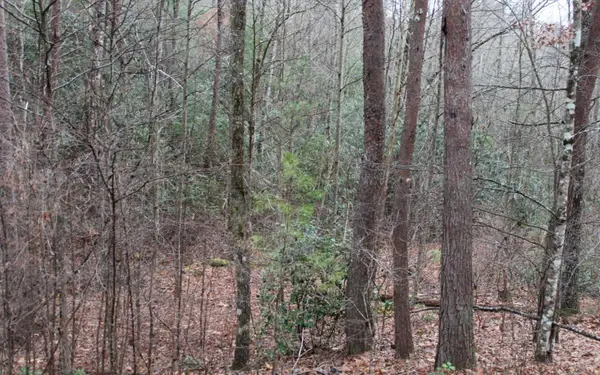 29 Coyote Cove, Hayesville, NC 28904