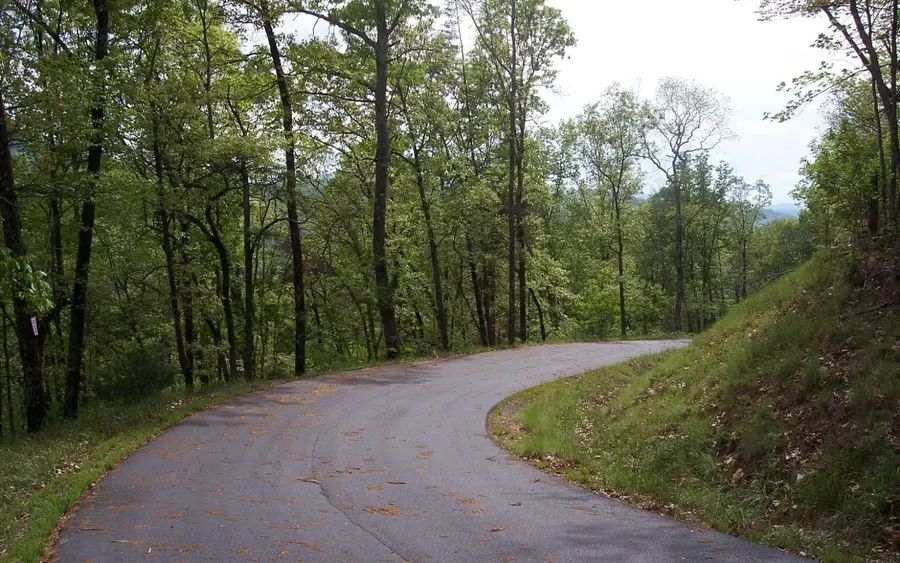 29 Coyote Cove, Hayesville, NC 28904 - Image #3