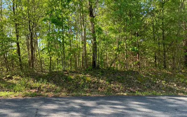 Lot 57 Fires Creek Cove Road, Hayesville, NC 28904
