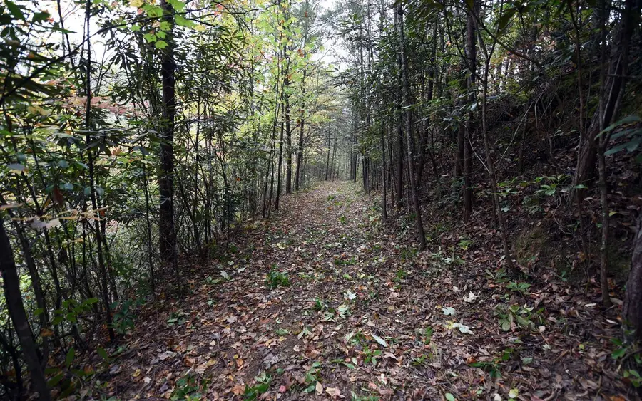 TBD Mclean Road, Andrews, NC 28901 - Image #2