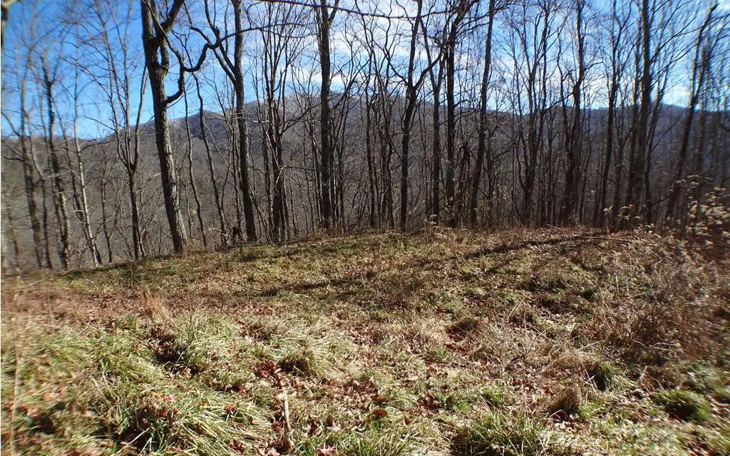 0 Deweese Rd, Topton, NC 28713 - Image #1