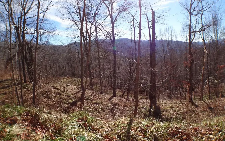 0 Deweese Rd, Topton, NC 28713 - Image #2