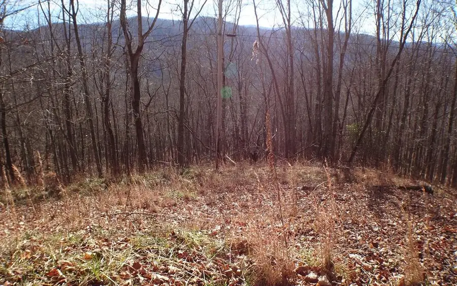 0 Deweese Rd, Topton, NC 28713 - Image #3