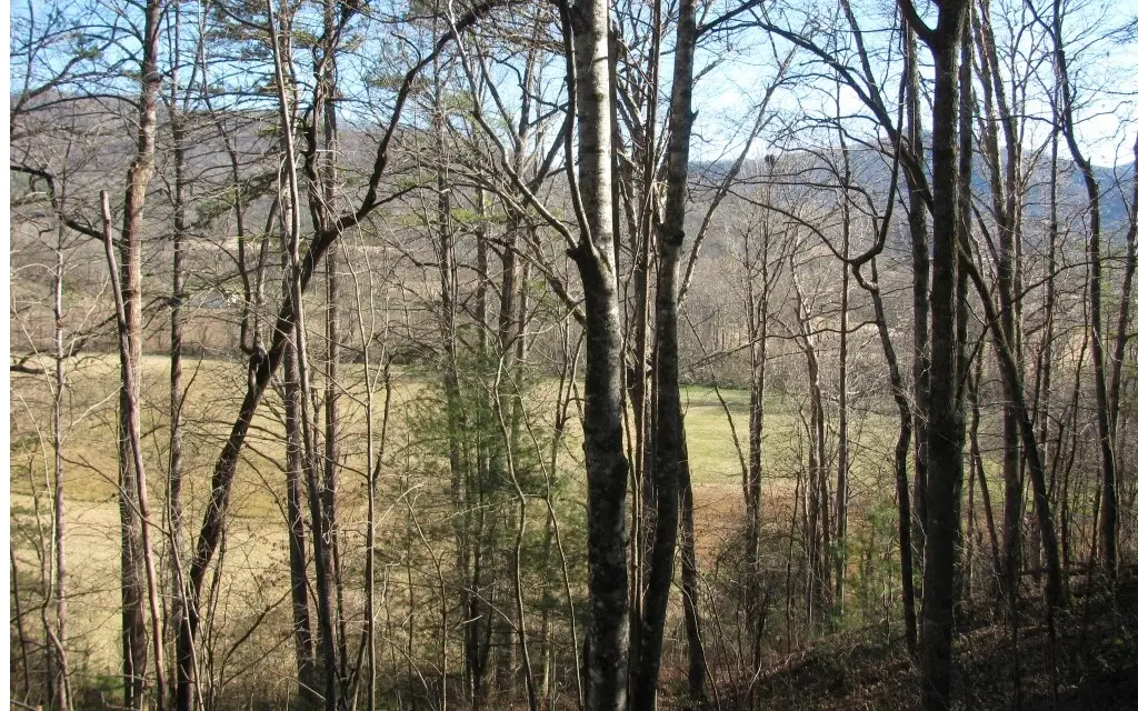 #39 Pinecrest Road, Young Harris, GA 30582 - Image #1