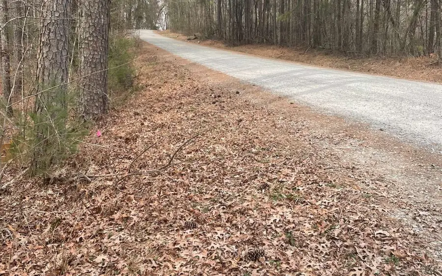 3739 Graham Court #3739, Ellijay, GA 30540 - #2