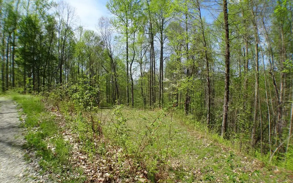 #7 Deweese Rd, Topton, NC 28781 - Image #1