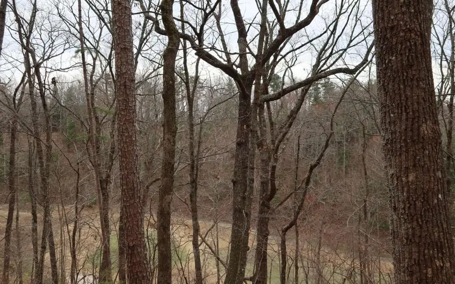 000 Lot 2786 Summit Dr #2786, Jasper, GA 30143 - Image #3